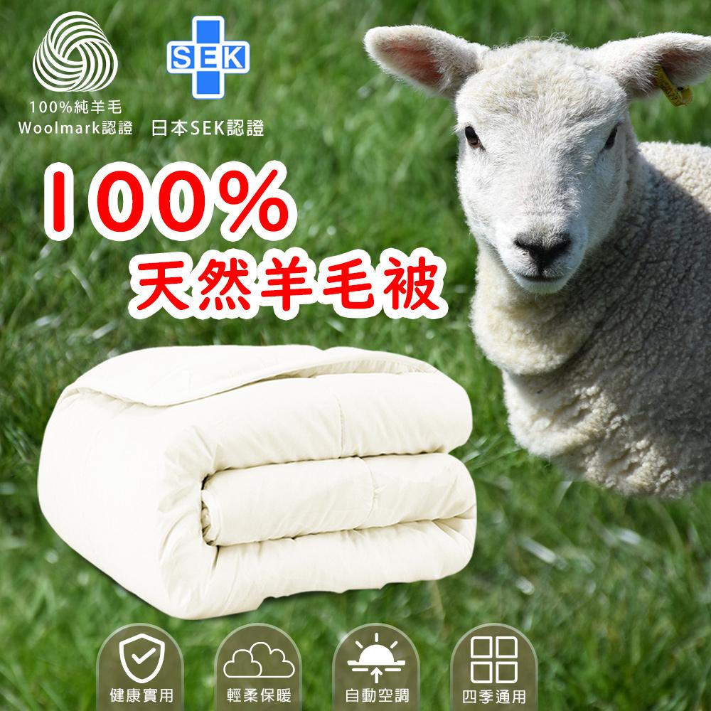 【家購網嚴選】100%頂級天然羊毛被 180x210cm/個